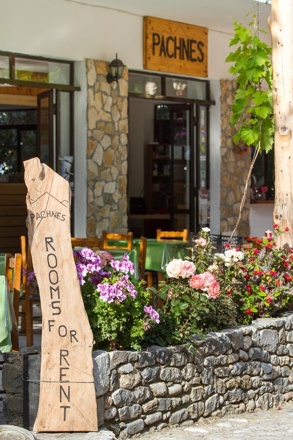 Pachnes Bed And Breakfast Agia Roumeli Eksteriør bilde